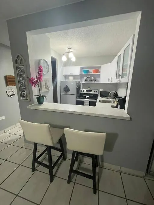 Elite Apt In Hearth Of Condado Apartment San Juan Puerto Rico