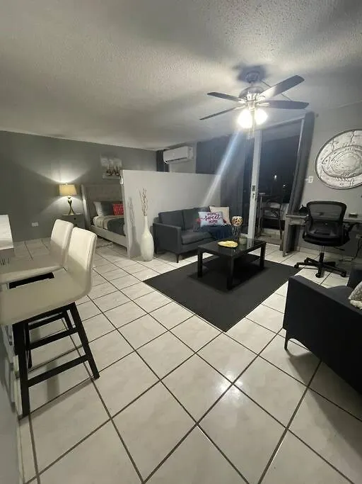 Elite Apt In Hearth Of Condado Apartment San Juan 0*,
