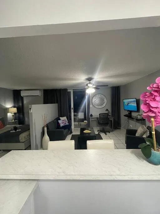 Elite Apt In Hearth Of Condado Apartment San Juan Puerto Rico