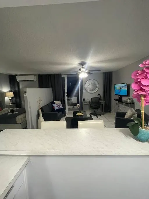 Elite Apt In Hearth Of Condado Apartment San Juan